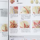 Temari, japanische Fadenb&auml;lle, Anleitungsbuch