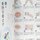 Kitsuke to Obimusubi, Kimono anziehen und Obi binden  mit DVD