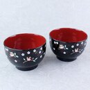 Shiruwan Eulen, 2er Set, japanische Suppenschalen