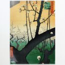 Sichtfolie A4 Kameido Umeyashiki