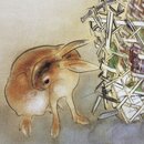 Postkartenset, 3er Set Bl&uuml;ten & Tiere