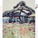 Postkartenset, 3er Set, Lotus u.a.