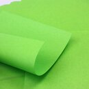 Beidseitig gleichfarbenes Origamipapier lindgr&uuml;n, 15...