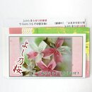 Origamiset mit Anleitung Yoshino Sakura