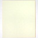 2 Shikishi L get&ouml;nt, Torinoko-Papier