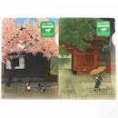 Sichtfolie 2er Set Edo 16,5 x 11,5 mm