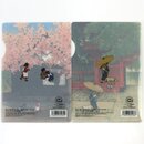 Sichtfolie 2er Set Edo 16,5 x 11,5 mm